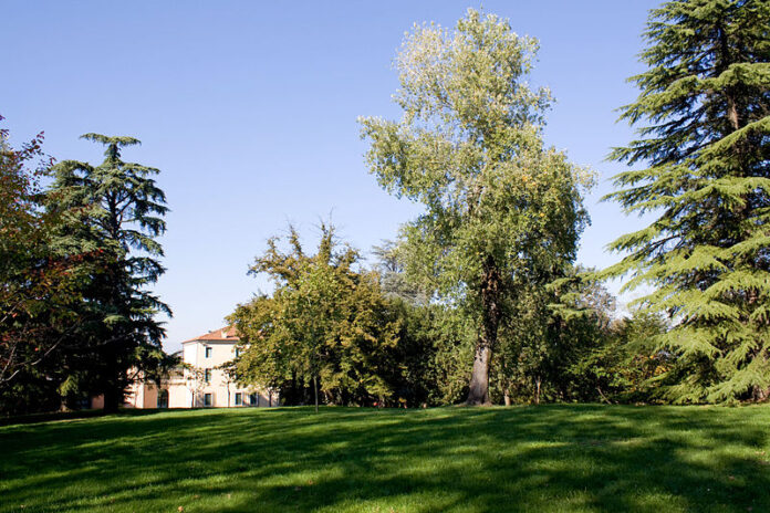 Non solo Palladio: uno scorcio del bosco nel parco di Villa Guiccioli