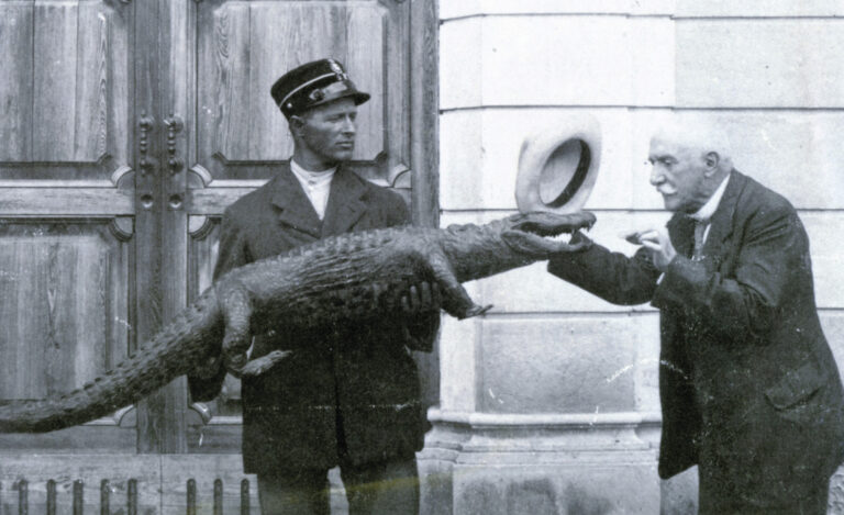 Museo Zannato, uno scrigno di storia da oltre 100 anni