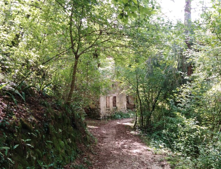 Ruderi di Orsetti a Novale di Valdagno, a spasso nel bosco e nel borgo fantasma