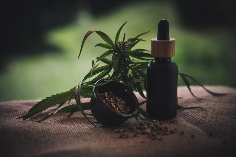 Perché scegliere il CBD in cucina?