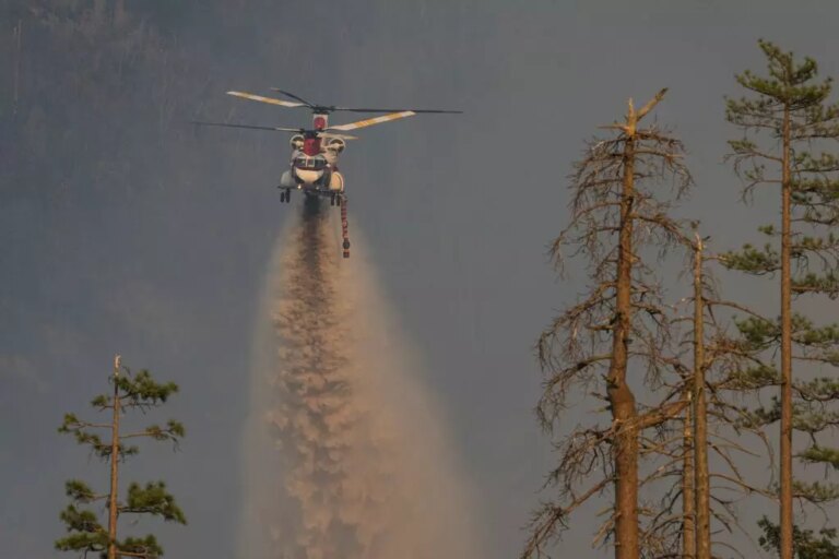 Toscana, accordo da 1,8 milioni per la lotta agli incendi