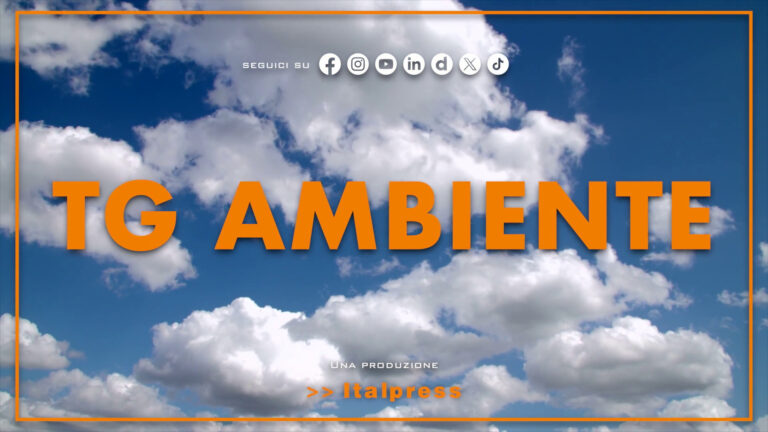 Tg Ambiente – 26/1/2025