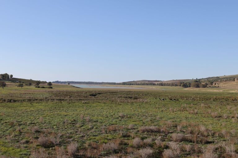 Siccità 2024, Imprudente “Riconosciuta calamità naturale in Abruzzo”