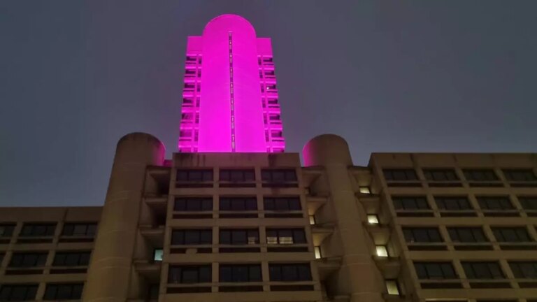 Emilia-Romagna, la torre dell’Assemblea legislativa si illumina di viola per la Giornata della lotta al papilloma virus