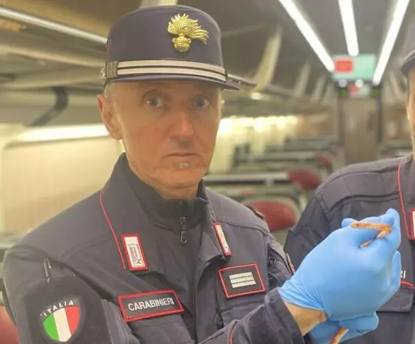 Milano, catturato un serpente su un treno ad alta velocità