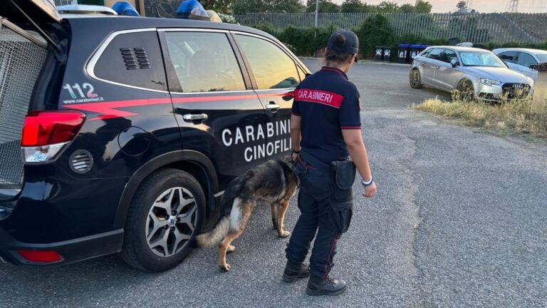 Ad Ardea un arresto, cinque denunce e sanzioni a uno stabilimento balneare