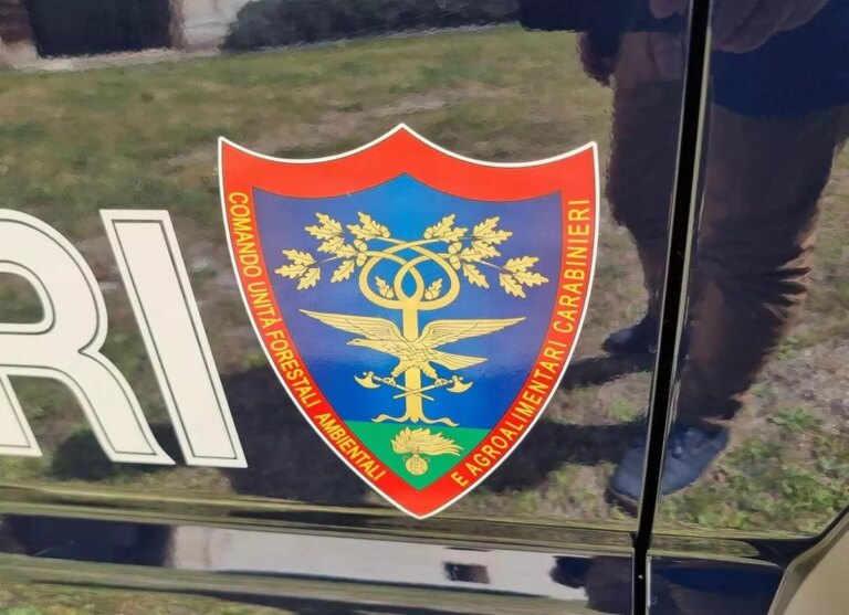 Carabinieri, la Polizia macedone in visita al Comando Unità Forestali, Ambientali e Agroalimentari