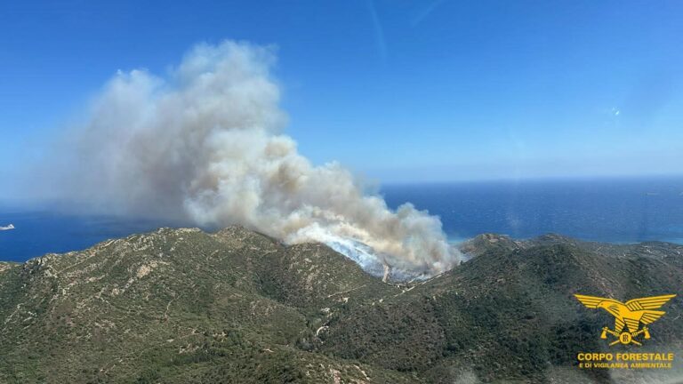 Incendi in Sardegna, Todde “Chi distrugge il territorio è nostro nemico”