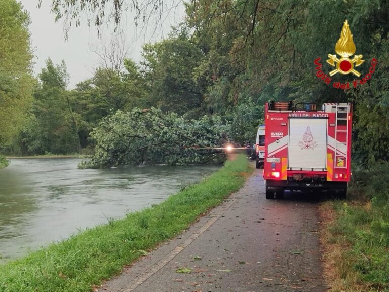 Nubifragio nel milanese, morta una donna colpita da un albero