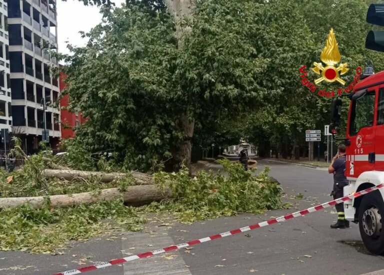 A Milano un ramo di un albero cade su un Van, nessun ferito