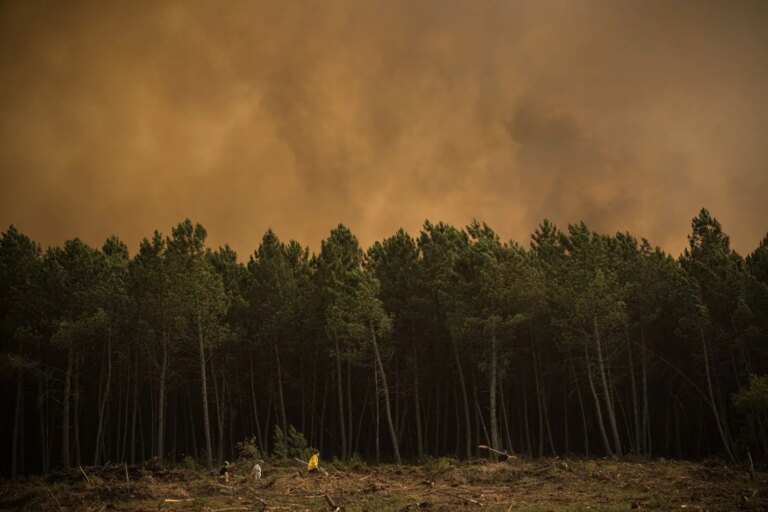 In Spagna rischio incendi in calo, ma in alcune aree l’allerta resta alta