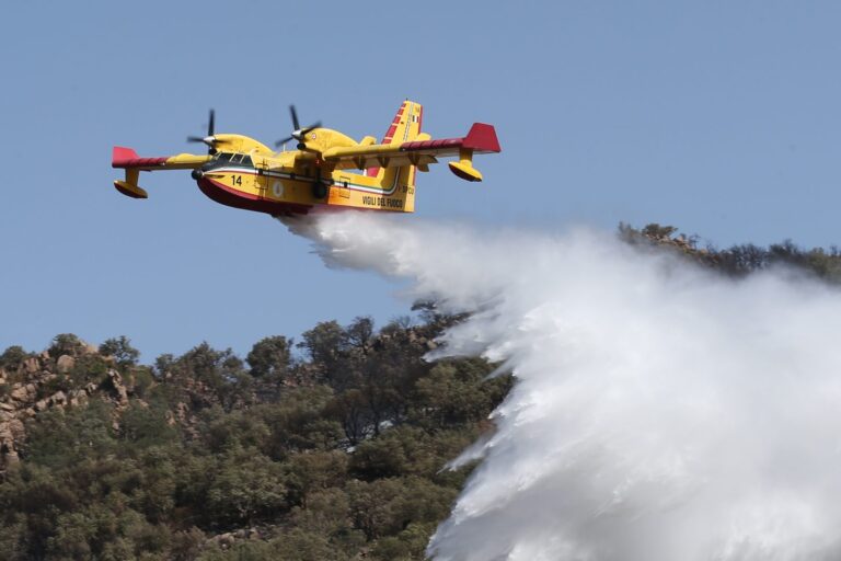 Corpo forestale della Regione Siciliana, via libera a 369 assunzioni