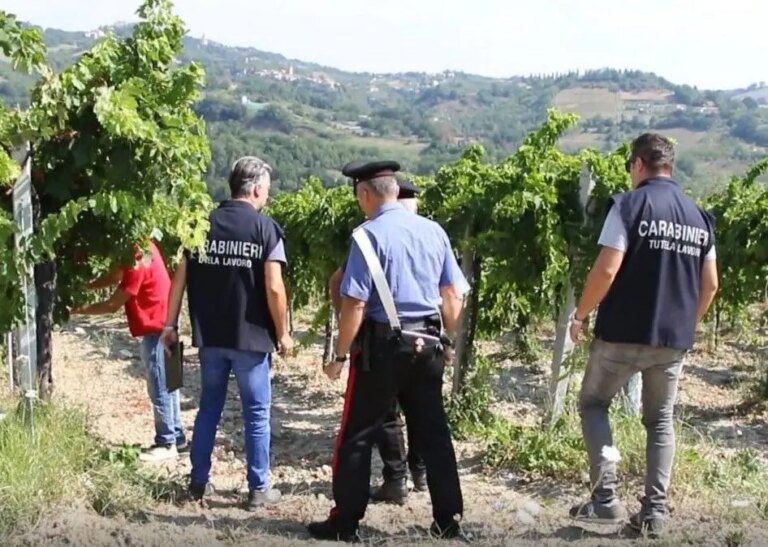 Controlli contro il caporalato in aziende agricole nel nisseno, multe e una denuncia