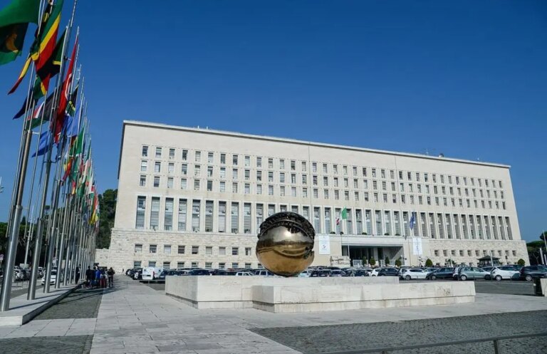 Flotilla, liberati i quattro parlamentari italiani. La Farnesina a Israele “Migliorare le condizioni di detenzione”