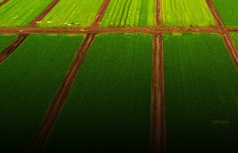 DRI acquisisce da DCH due impianti agrivoltaici in Puglia e Molise