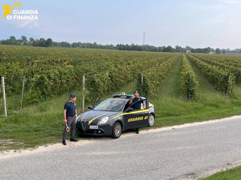 Controlli nel trevigiano in occasione della vendemmia, scoperti 14 braccianti irregolari