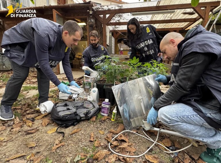 Coltivavano marijuana in casa e in giardino, in provincia di Perugia arrestati un uomo e una donna