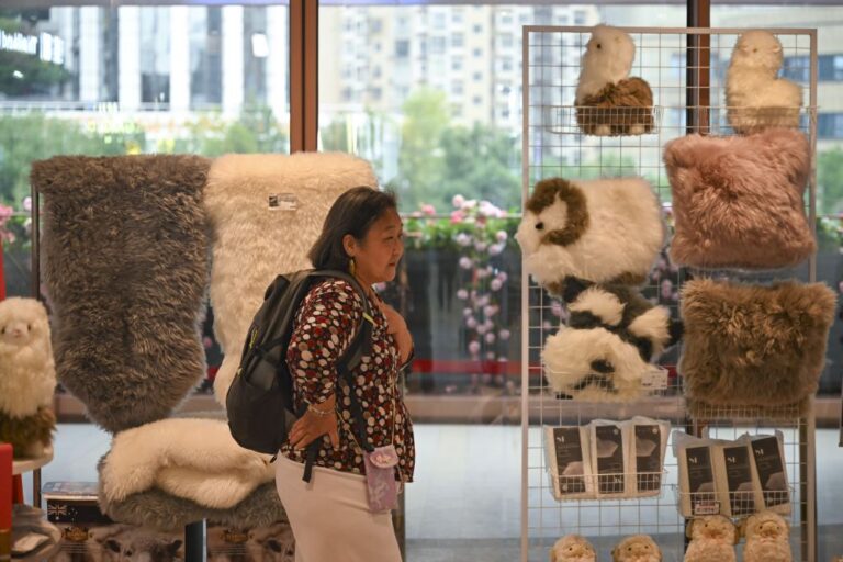 Cina: la CIIE Bazar City Arena a Shanghai (2)