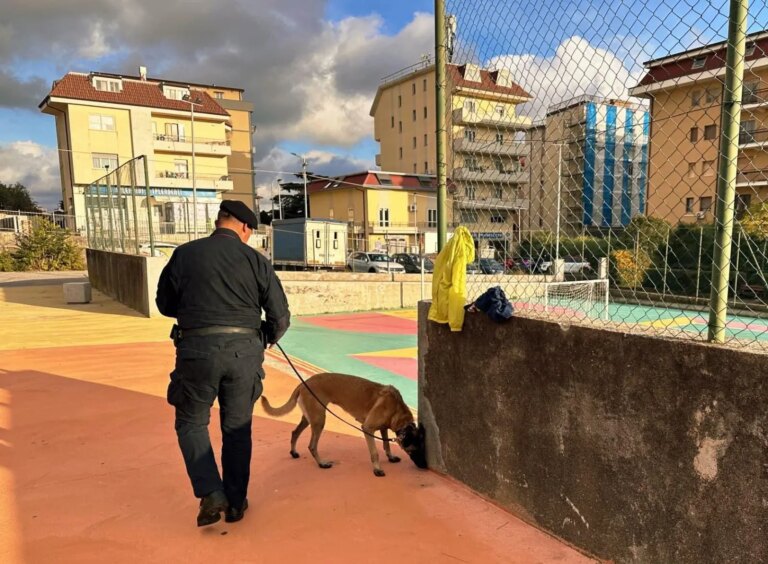 Controlli a tappeto dei Carabinieri a Catanzaro, trovata droga nascosta in un parco