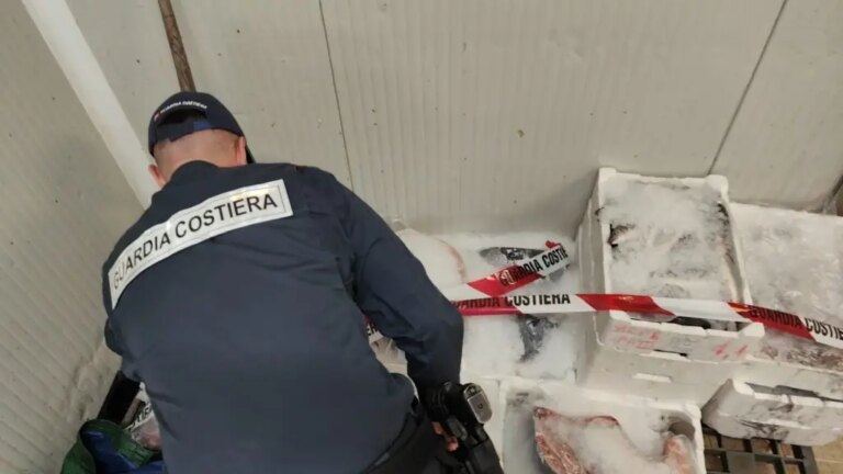 Blitz della Guardia Costiera contro la pesca illegale a Cagliari, sanzioni di 30 mila euro