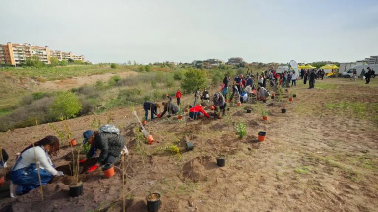 Tim pianta 400 nuovi alberi a Roma per migliorare l’ambiente urbano