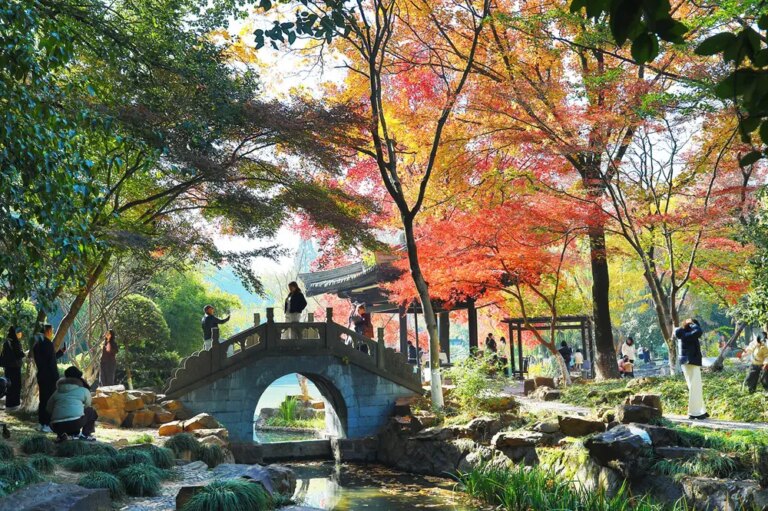 Paesaggi invernali: natura e vita quotidiana nella Cina orientale (3)