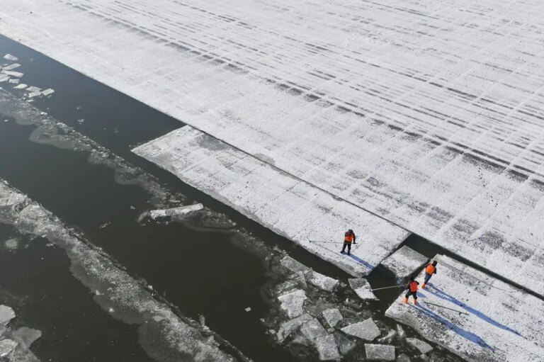 Cina: a Harbin in corso la raccolta del ghiaccio (1)