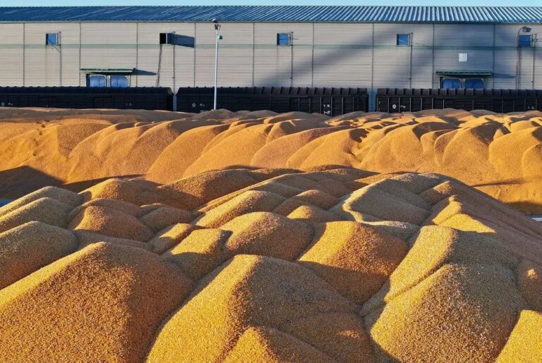 Cina: Heilongjiang conferma il primato nella produzione cerealicola (1)