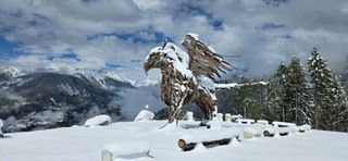 Grifone del Tesino Altopiano di Celado ©stefano paternolli