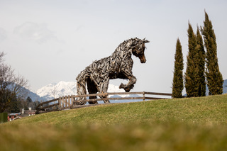 Haflinger Val Rendena_©Trentino Marketing_Aquest_Inverno_Strembo_2025_00011