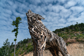 upa del Lagorai,opera di Marco Martalar