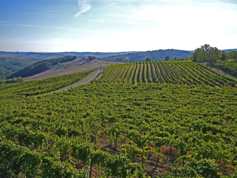 Con la nuova Pac il Veneto perderebbe 400 milioni di euro