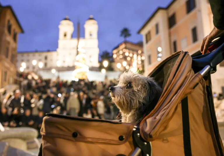 Roma: le foto delle luci di Natale nella città (3)