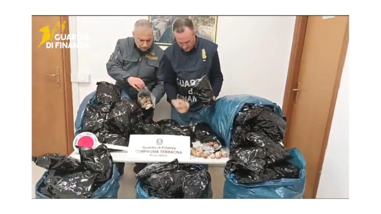 A Latina sequestrati oltre 20 kg di bulbi di papavero da oppio, arrestato un indiano
