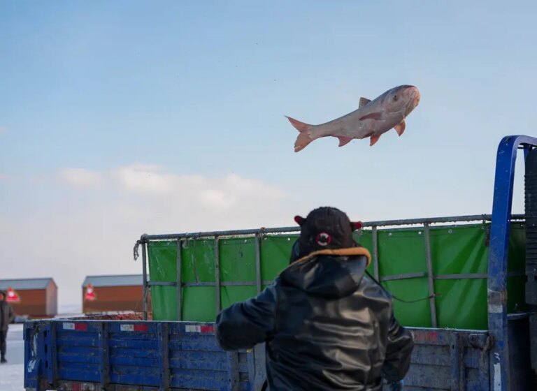 Cina: al via il Festival della pesca sul ghiaccio e neve a Songyuan (2)