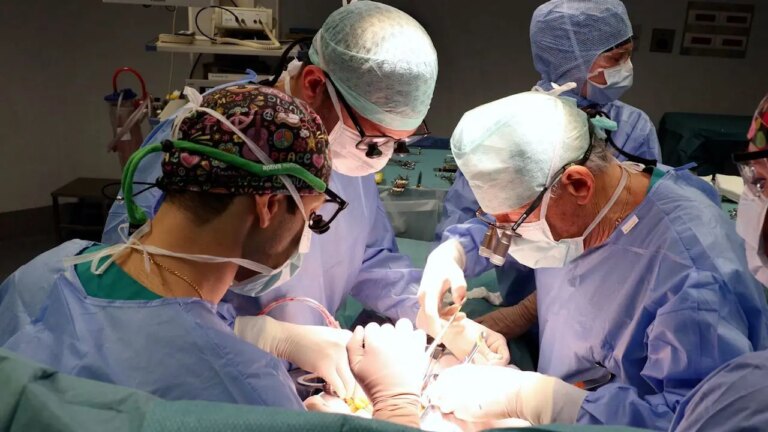 Chirurgia vascolare, il San Raffaele di Milano pioniere della mininvasività