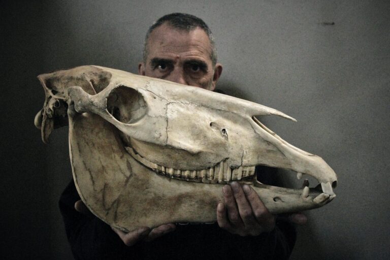 Giovanni Lindo Ferretti al Teatro Comunale di Vicenza: “Percuotendo, in cadenza”