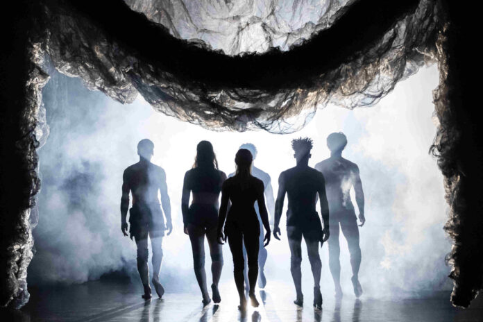 teatro comunale di vicenza circo contemporaneo