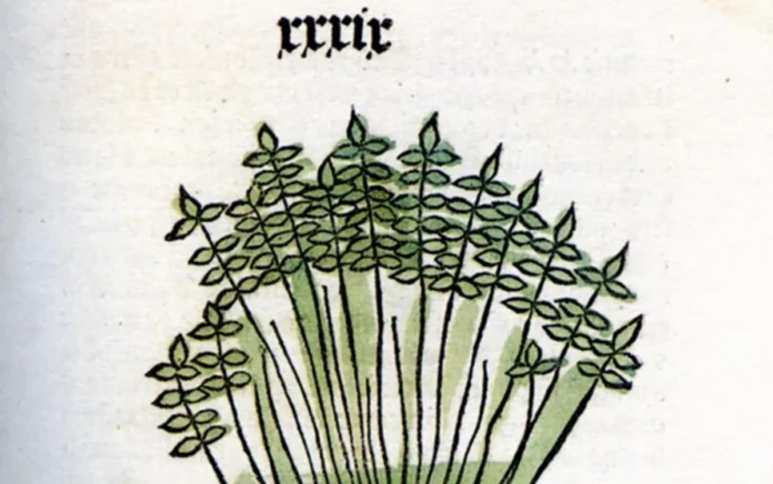 botanica incunaboli