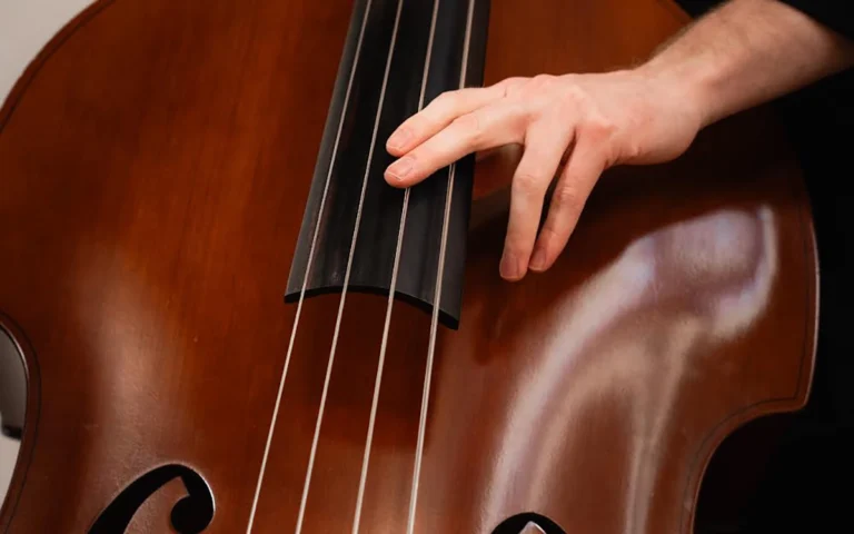 Pedrollo Jazz Festival: l’edizione 2026 della rassegna del Conservatorio di Vicenza