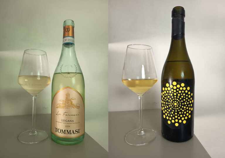 Lugana di Tommasi e Chakra Essenza di Giovanni Aiello: l’eleganza che premia la passione per l’enologia